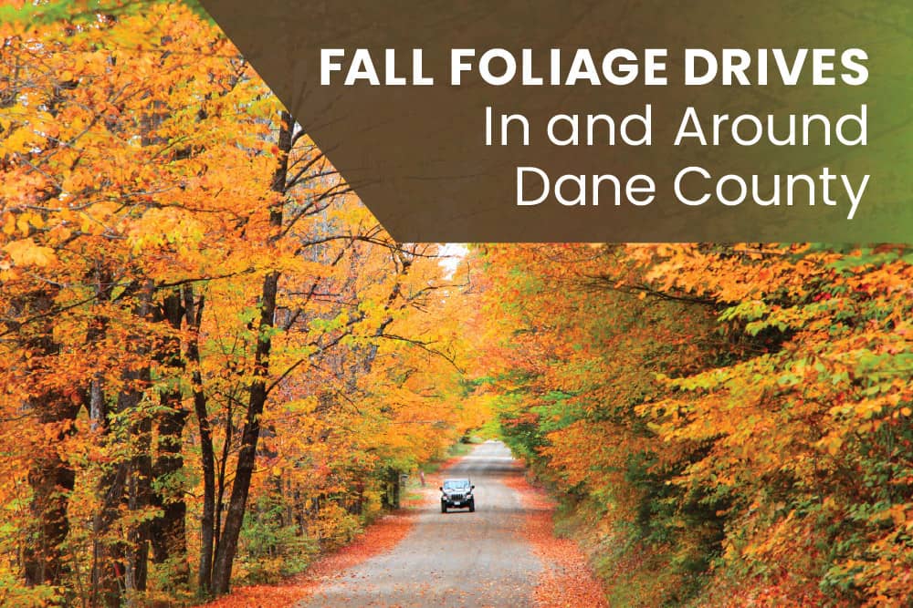 Fall Drives Dane County